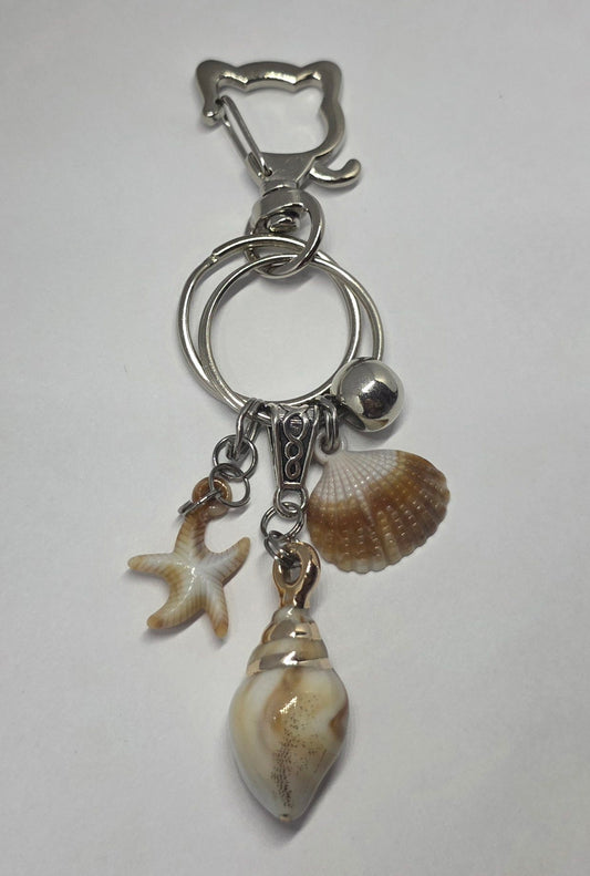 Pakabukas kriauklytės