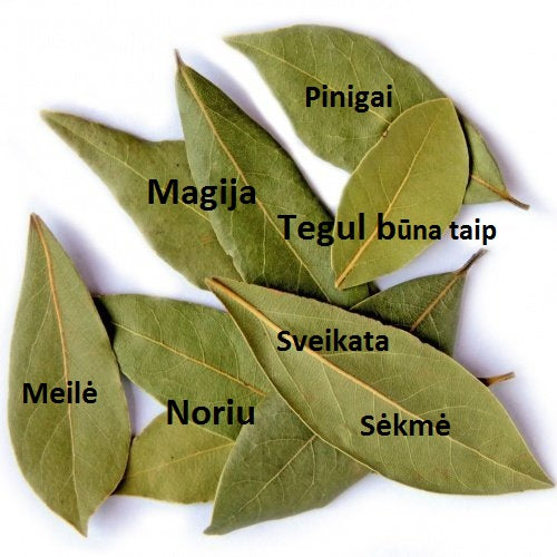 Magiška dėžutė-daugiau kaip 15 produktų